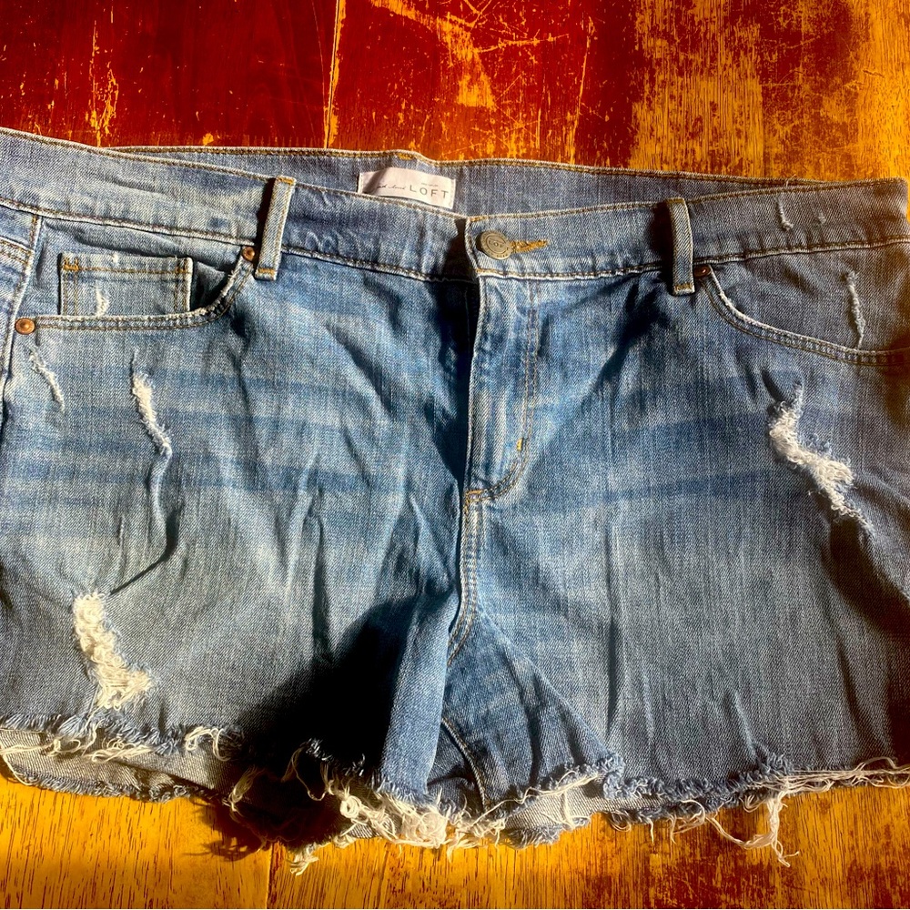 Women’s Loft size 14 Jean Shorts